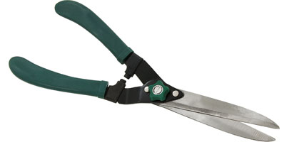 Hedge Shears