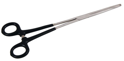 250mm Straight Forceps