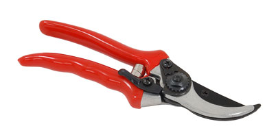 Pruning Shears