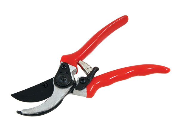 Pruning Shears