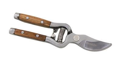 Pruning Shears