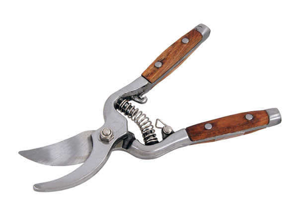 Pruning Shears