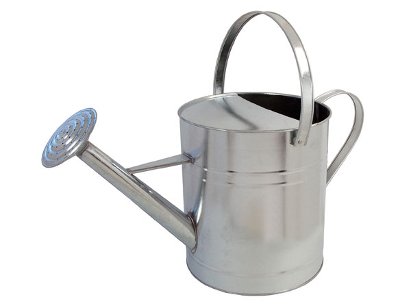 Watering Can - 10L