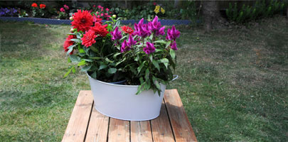 Flower Bucket - Oval
